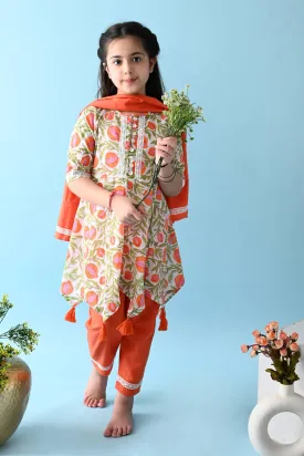 Amira Anarkali Set
