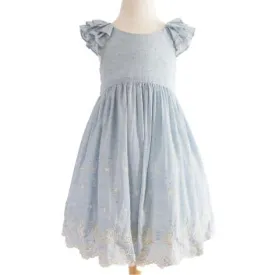 Blue Speckled Embroidered Border Toddler Dress